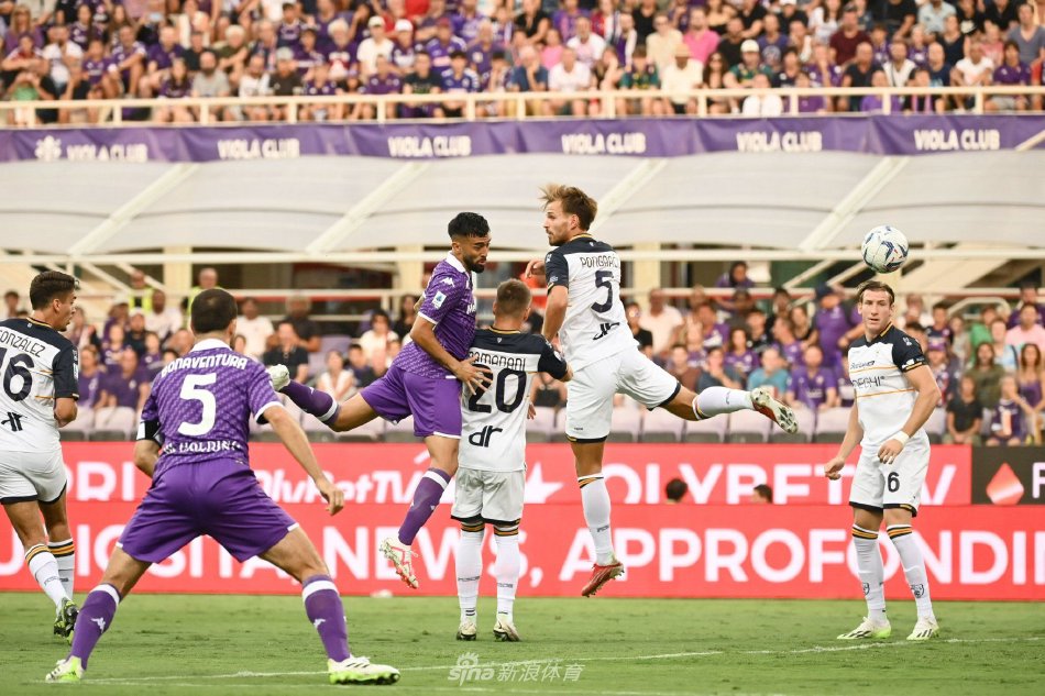 重新建立起 重新建立起